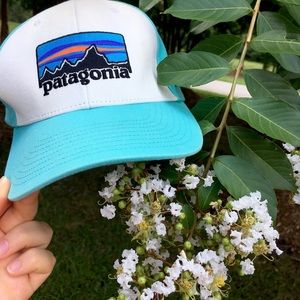 Patagonia Baseball Cap